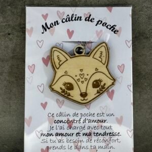 Renard - Mon câlin de poche